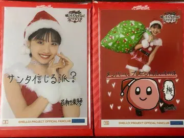 유미게타 슈킨 크리이베2025 코레샤