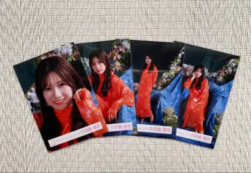 사쿠라자카46 오다쿠라 레이나 사랑하라 MV 컬러풀 의상