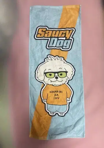 [ 신상 ] Saucy Dog 타월