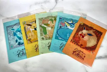 [ 5세트 ] A4 클리어 파일 Eevee Collection