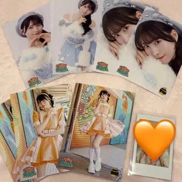 이기가리 도호쿠산 사쿠라 히나노