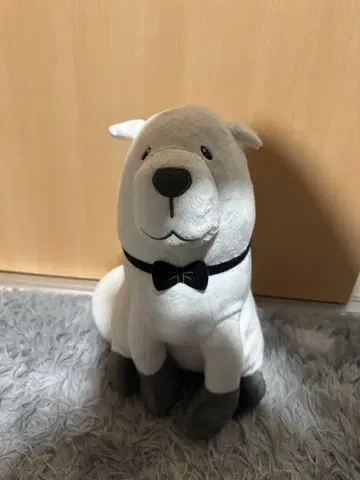 스파이 패밀리 봉제 인형 본드