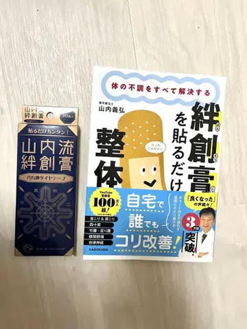 정체 야마우치류 점착 테이프 포함