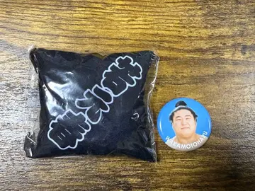 대스모 2세트 와카모토하루