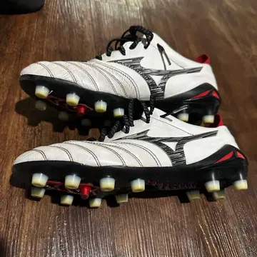 24.0cm 모렐리아 네오 4