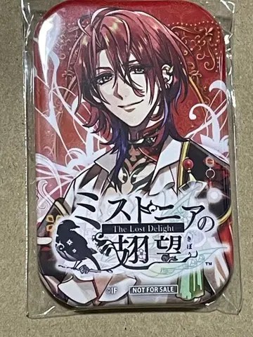 미스트니아의 날개 희망 애스콧 보물섬 혜택 캔뱃지