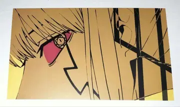 매쉬루 아비스 엽서 크림색 연구