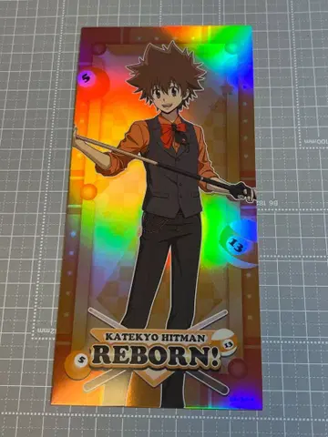 REBORN 사와다 츠나요시 루디컬렉션