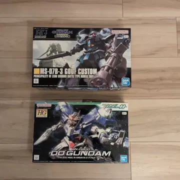 HG MS-07B-3 GOUF CUSTOM & 00 GUNDAM