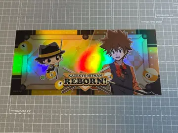 REBORN 리본 사와다 츠나요시 루디컬렉션