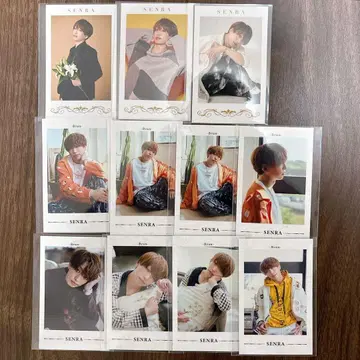 센라 포토 카드 묶음 판매