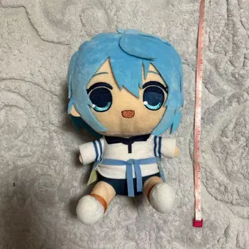 컬러풀 피치 루나 큐르마루 BIG 봉제 인형 카라피치