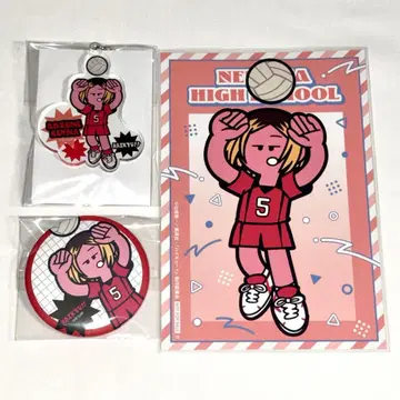 [익명 배송] 하이큐 점페스 나카가이 코교 코즈메