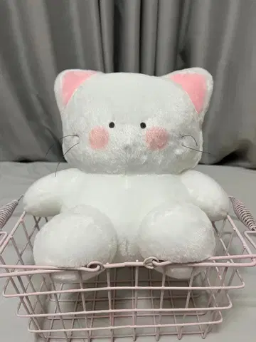 고양이 포타 포포마루즈 BIG 봉제 인형