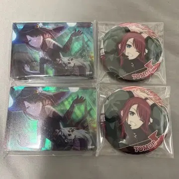 뱅드림 캔뱃지 아크릴 블록 vol.5 Afterglow 우다가와 토모에