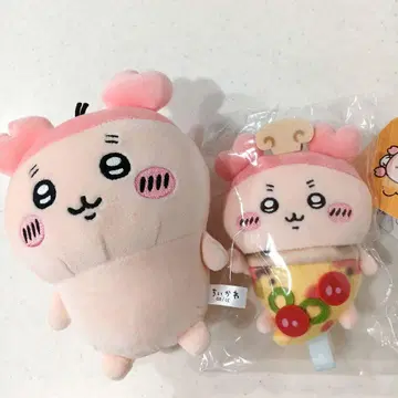 치이카와 (먼작귀) 헌책방