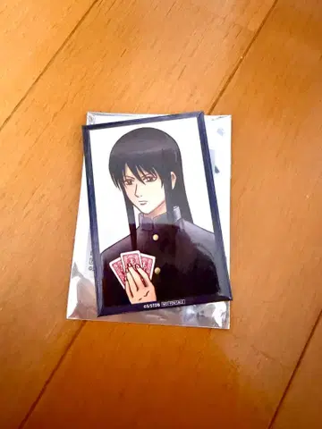 은혼 애니플렉스 가츠라 코타로