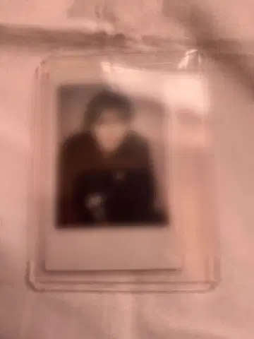 후루시마 타키 폴라로이드