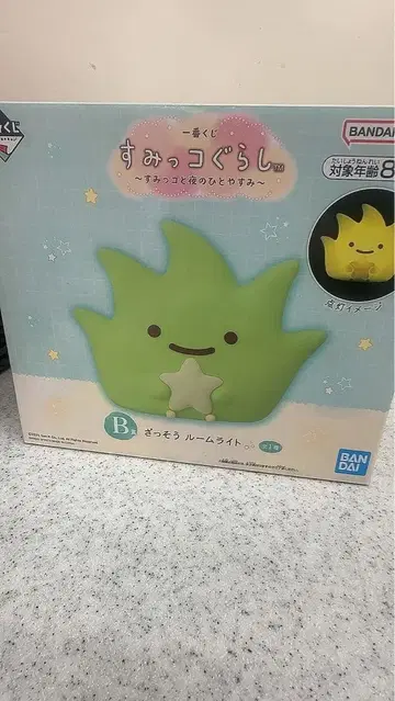 스미코구라시 룸 라이트 B상