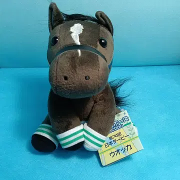 [ 새상품 일본 더비 우오카 아이돌 호스 M 사이즈