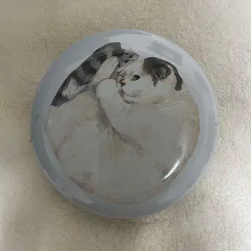 catissue 코무탄 캔 케이스