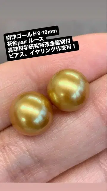 남양 골드 진주 브라운 골드 9-10mm 페어