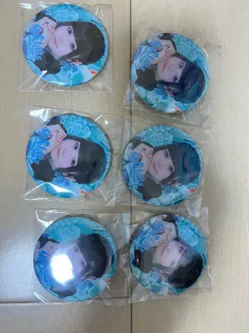 무지개 깃털 미니 캔 배지 6개 세트