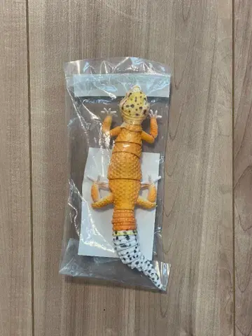 레오파드 게코 (탠저린) 생물대도감 어드밴스 가샤폰