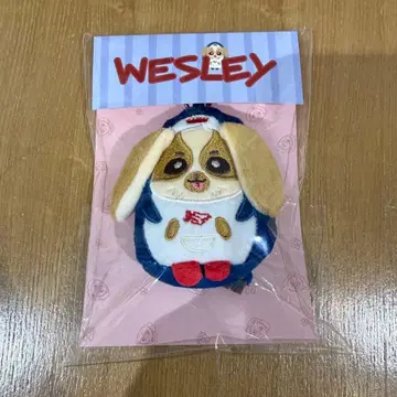 라스트 WilliamEst WESLEY 인형 키체인 GMMTV