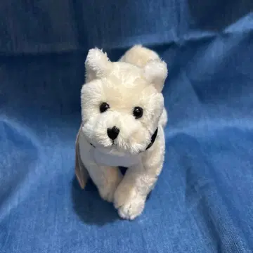 국립과학박물관 오리지널 마스코트 하치 아키타견