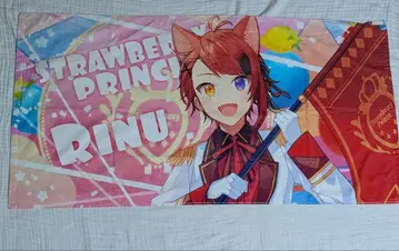 스토푸리 2023 Here We Go!! 픽처 타월