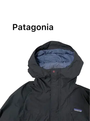 Patagonia storm jacket F9