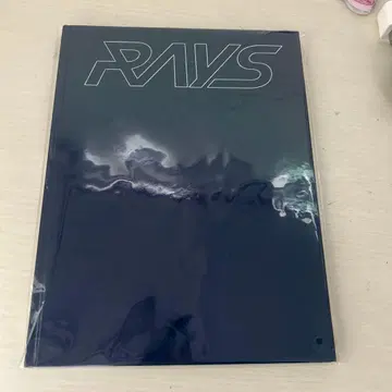RAYS 팜플렛