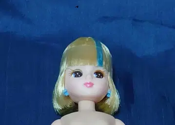 리카짱 하라주쿠 서브컬쳐 걸 (인형만)