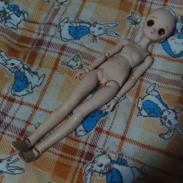 VOLKS MDD 스탠다드 모델 레나 본체