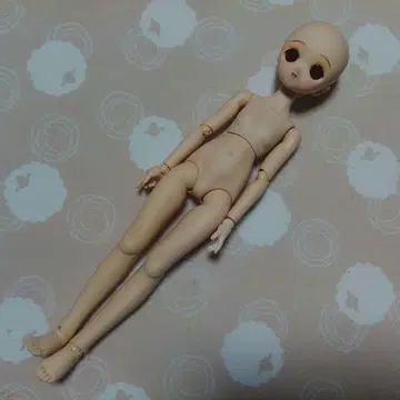 VOLKS MDD 스탠다드 모델 레나 본체