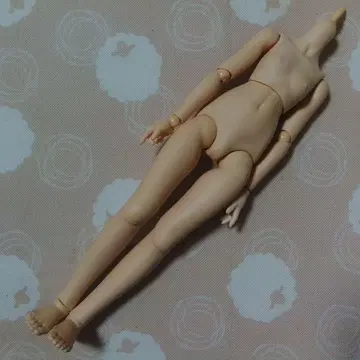 VOLKS MDD 베이스 바디