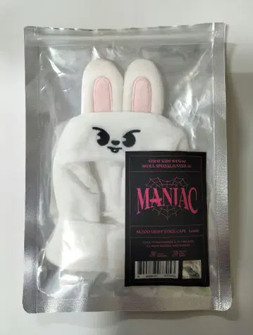 StrayKids Leebit 응원봉 커버