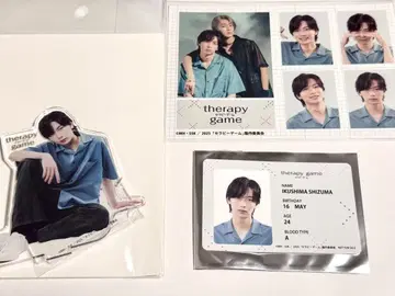 테라피 게임 이쿠시마 시즈마 3세트