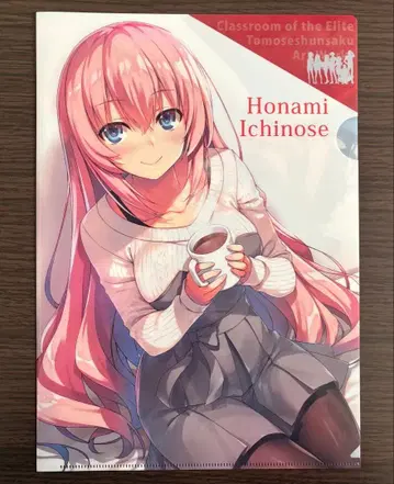 어서 오세요 실력 지상주의 교실에 화집 게이머즈 특전 A4 클리어 파일