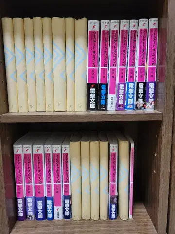 소드 아트 온라인 소설