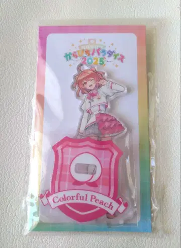 카라피치 파라다이스 2025* 노아 아크릴 스탠드