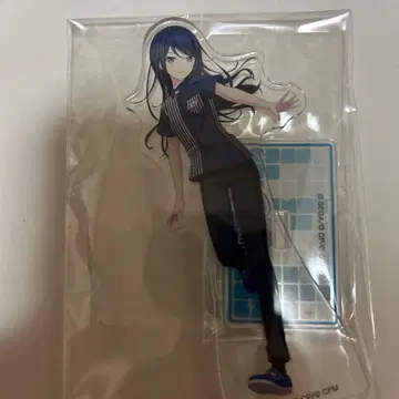 프로세카 호시노 이치카