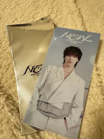 SEVENTEEN 세븐틴 라이브 뷰잉 특전 티켓 홀더 디노