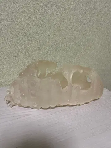 오무 껍데기 플랜터 바람계곡의 나우시카