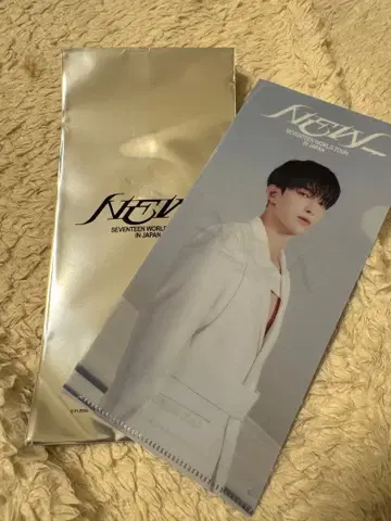 SEVENTEEN 세븐틴 세부치 라이브 뷰잉 특전 티켓 홀더 도겸