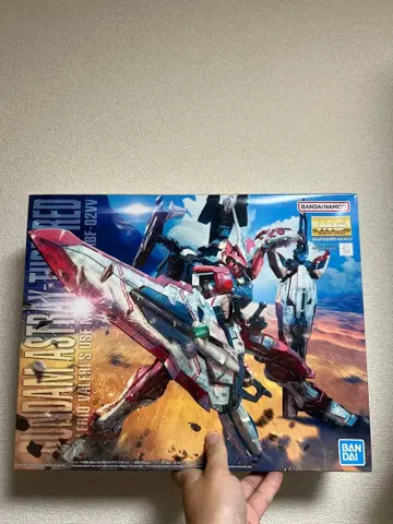 MG 1/100 건담 아스트레이 턴 레드