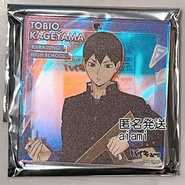 점프 페스타 하이큐 오로라 브로키 카게야마 토비오