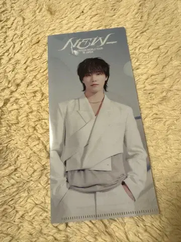 SEVENTEEN 세부치 라이브 뷰잉 혜택 티켓 홀더 디노