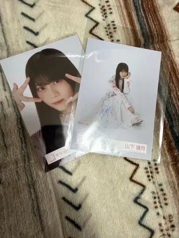 자업자득 야마시타 시즈키